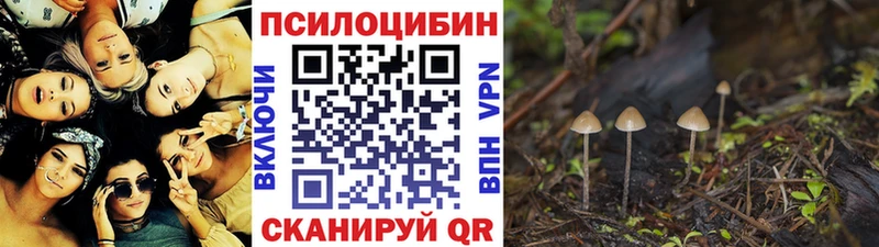 Псилоцибиновые грибы прущие грибы Одинцово