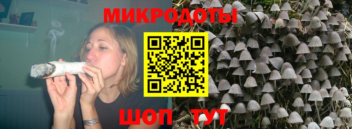 Псилоцибиновые грибы Psilocybine cubensis  Вход с VPN  даркнет сайт  Одинцово 